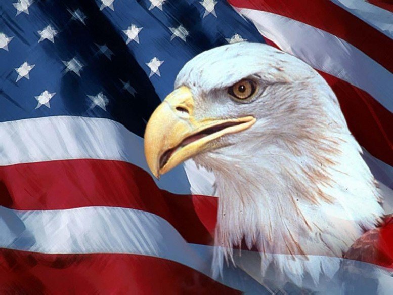 desktop-american-flag-eagle-pictures-800x600 - Go Motorcycling